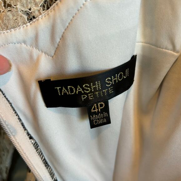 Tadashi Shoji Antique Lace Dress - 4 Petite - Picture 5 of 6